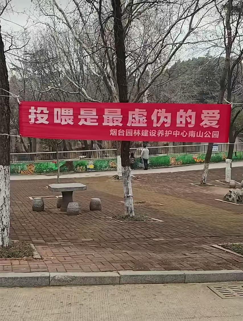 球速体育官网-“投喂是最虚伪的爱！”烟台一动物园标语被指豪横，园方回应“卖投喂食品强制爱”质疑
